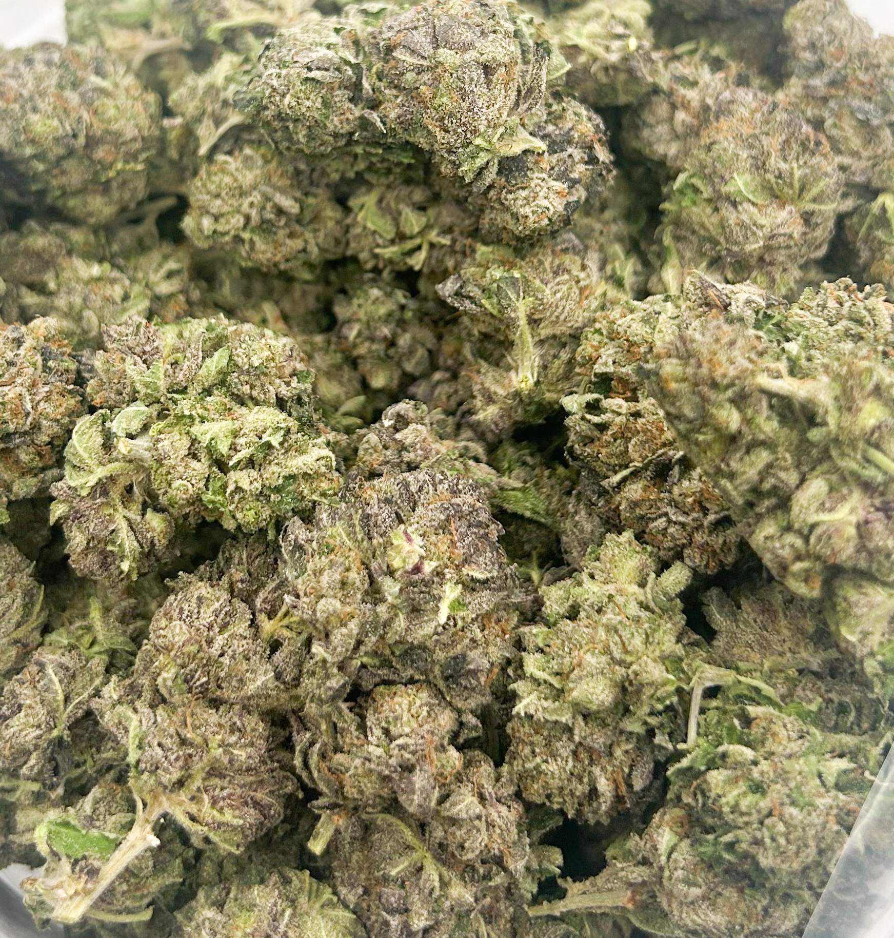 Purple Gas Mask (AAAA)
