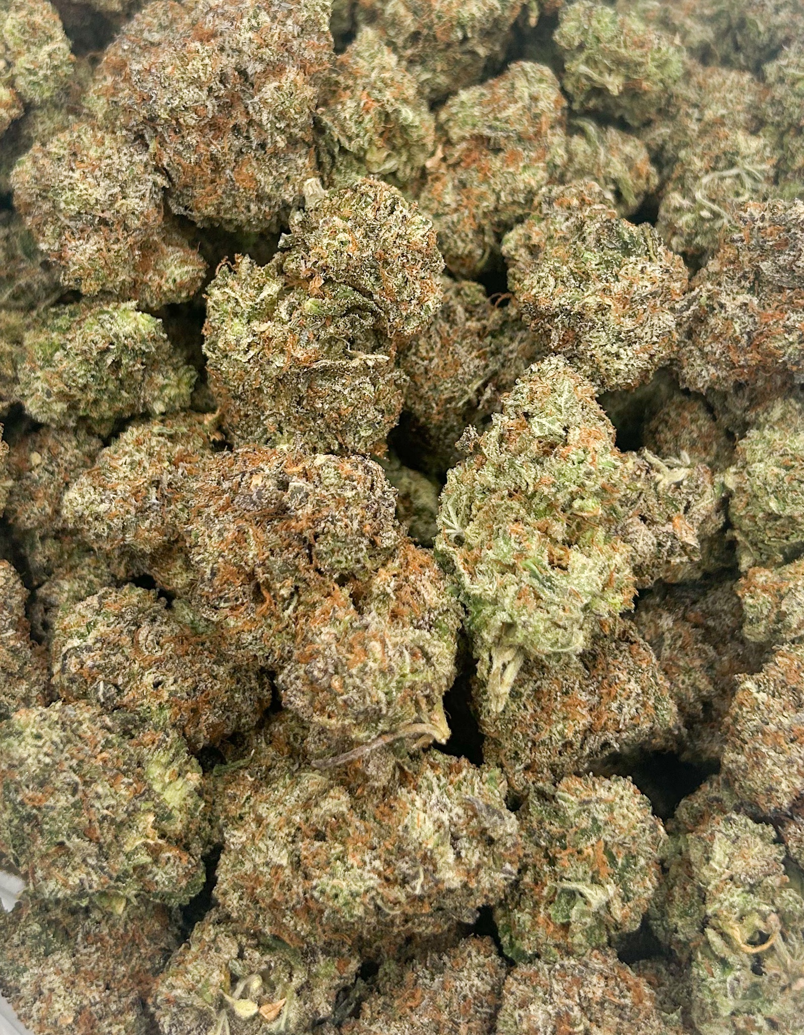 Black Truffle (AAAA)