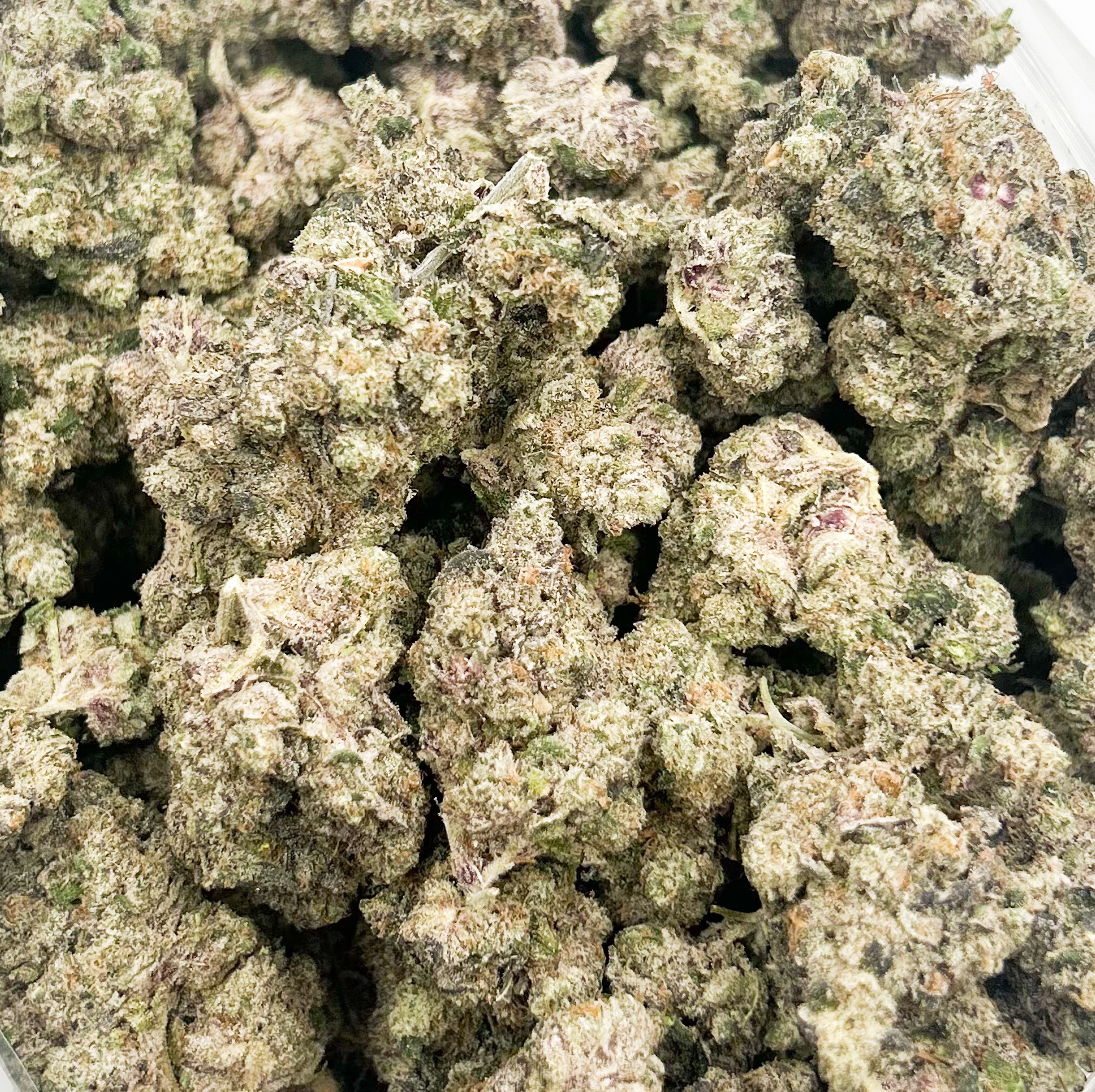 Sherbquake (AAAA+)