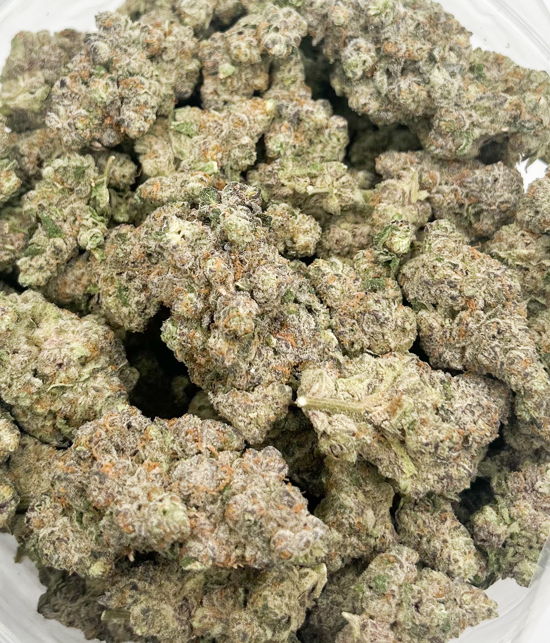 Frumpz (AAAA)