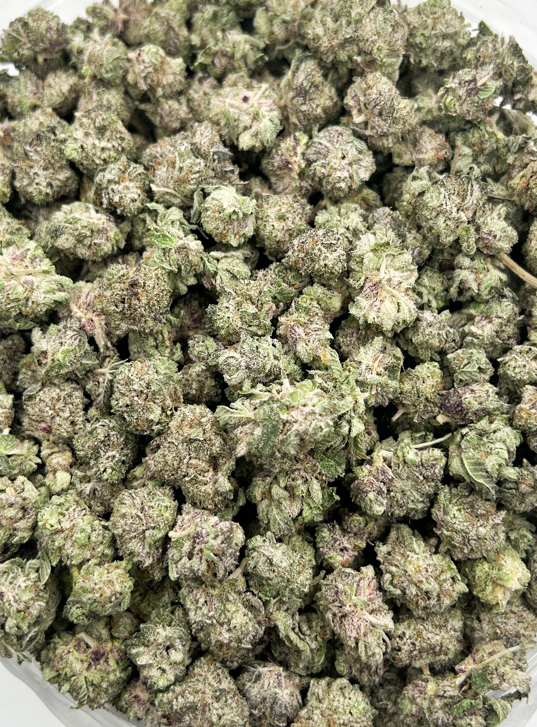 $89 Ounce Purple Punch (AAAA) Popcorn Buds