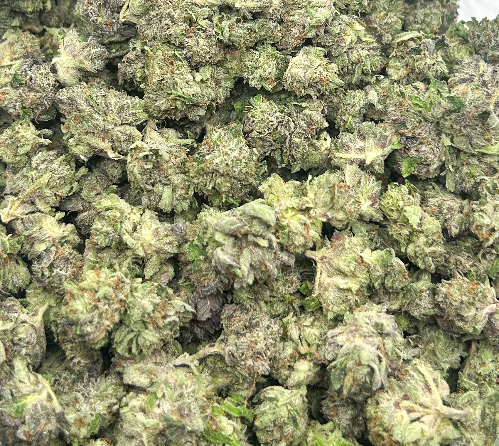 *OZ DEAL* Purple Rockstar (AAA+)