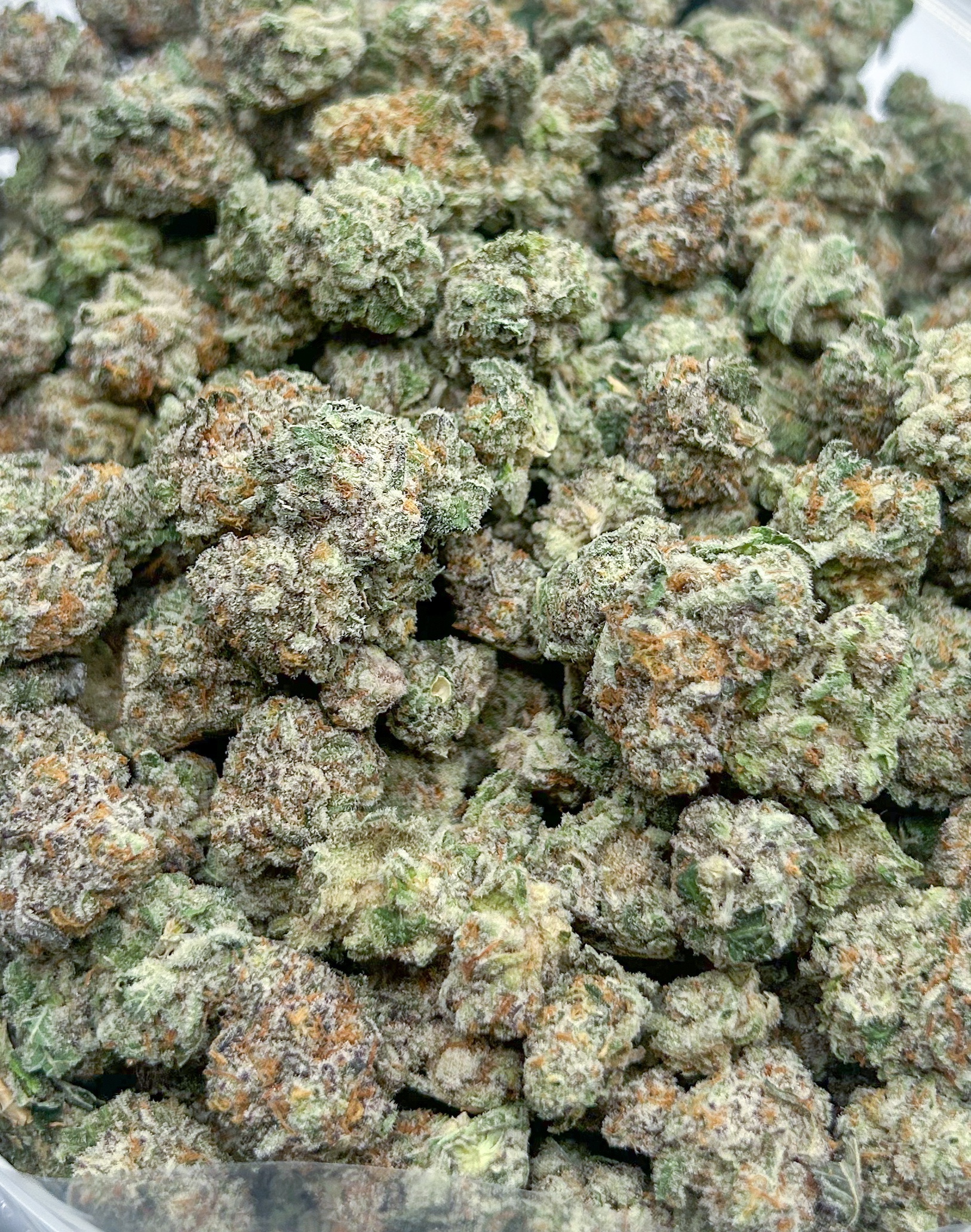 *OZ DEAL* King Louis XIII (AAA+)