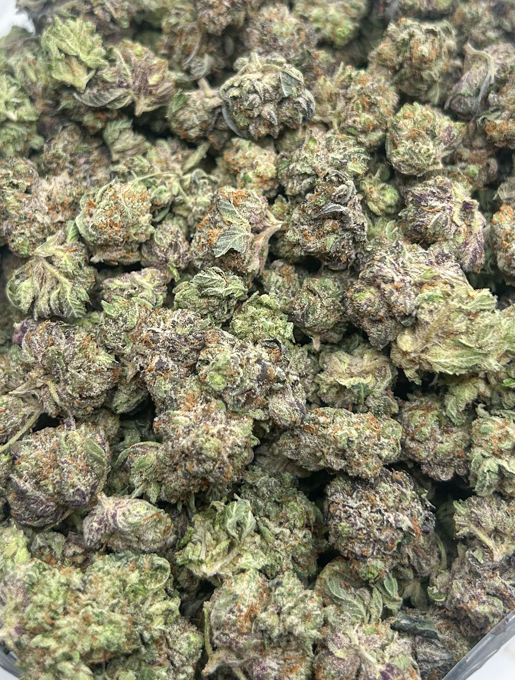 *OZ DEAL* Purple Snoop Dogg (AAA+)