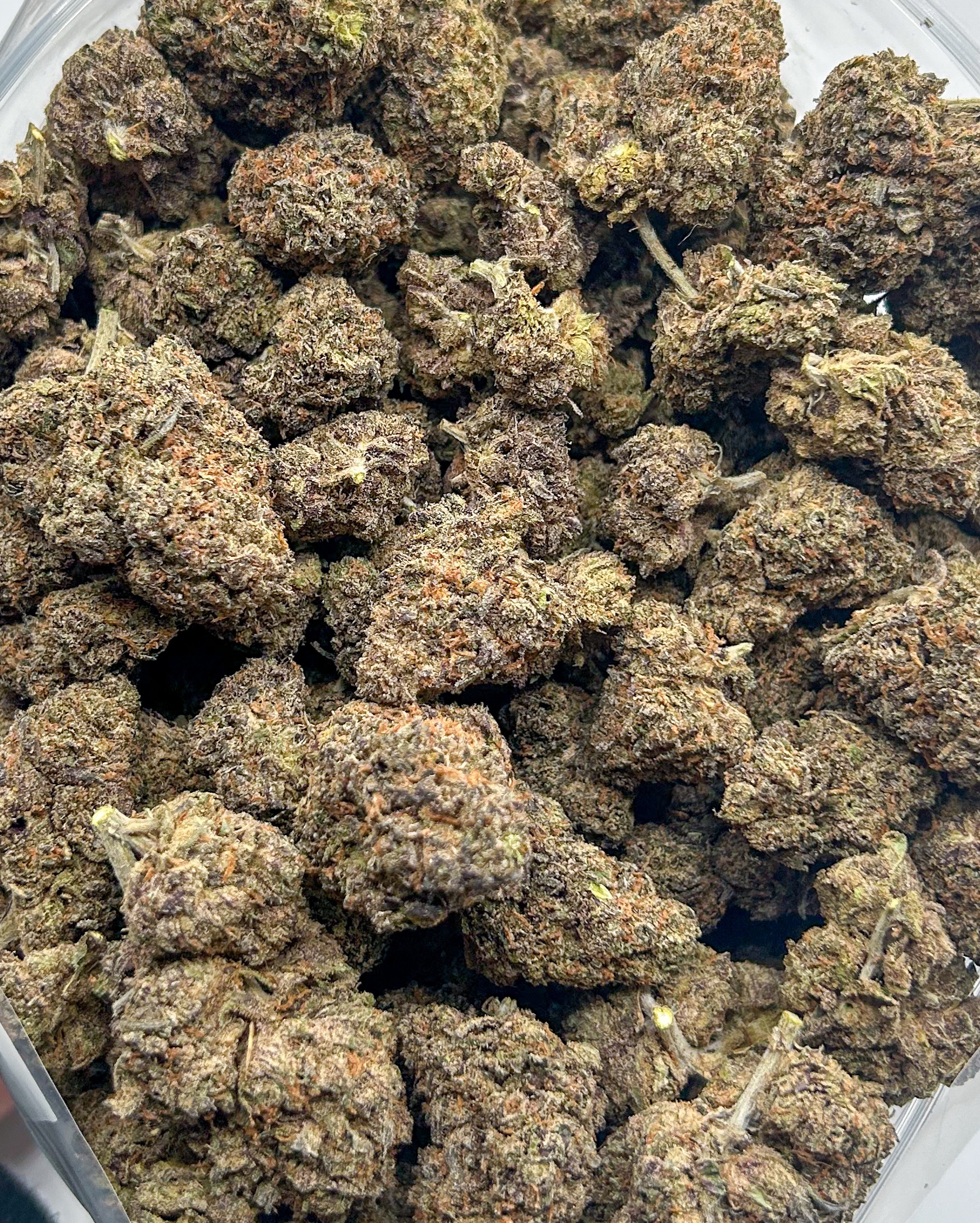 Purple Mendo (AAA)
