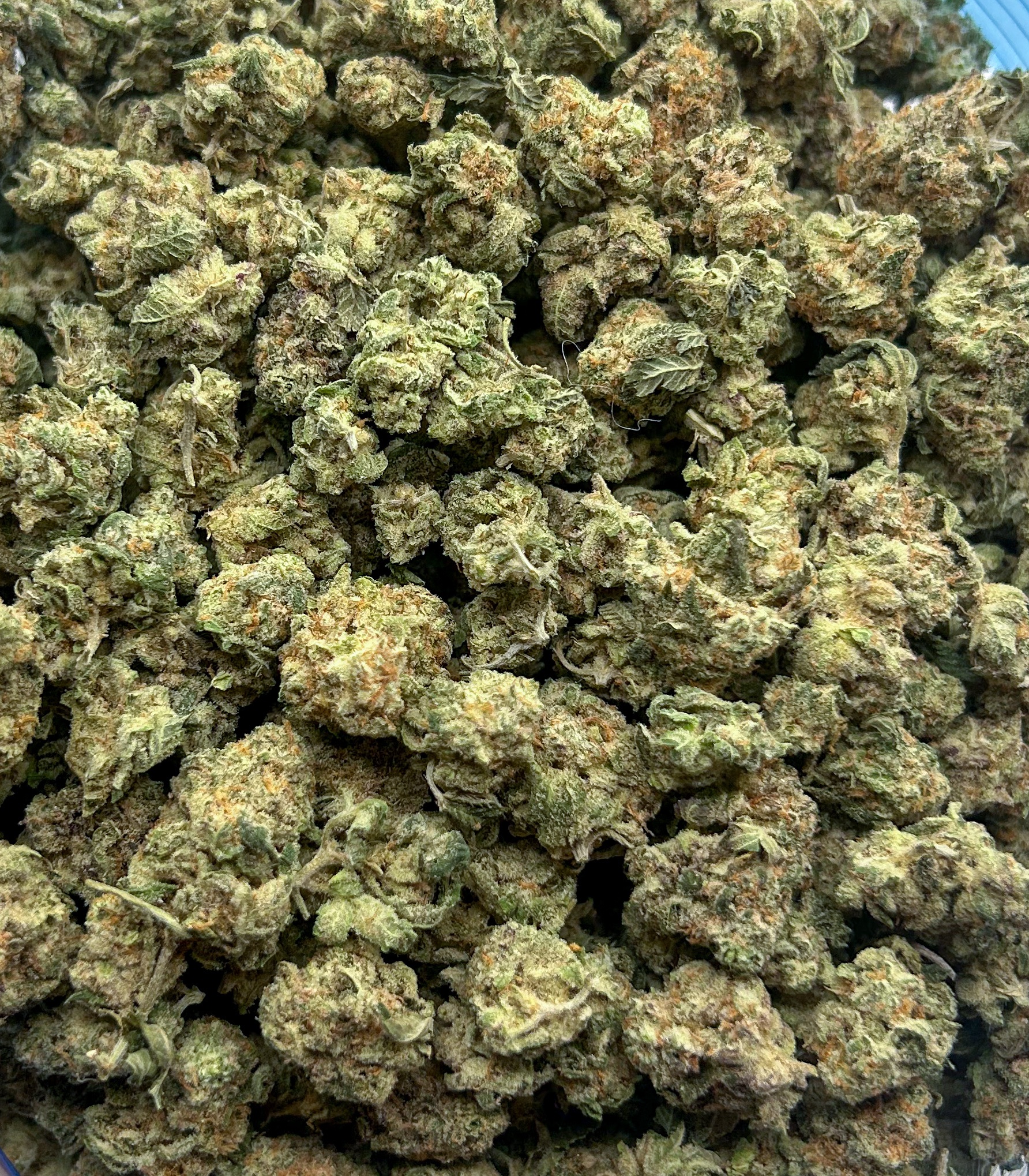 *Oz Deal* Black Cherry Punch (AAA+)