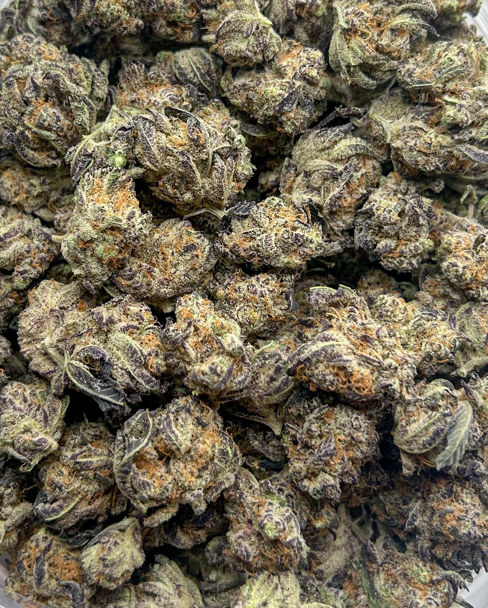*Oz Deal* Candy Latte (AAAA)