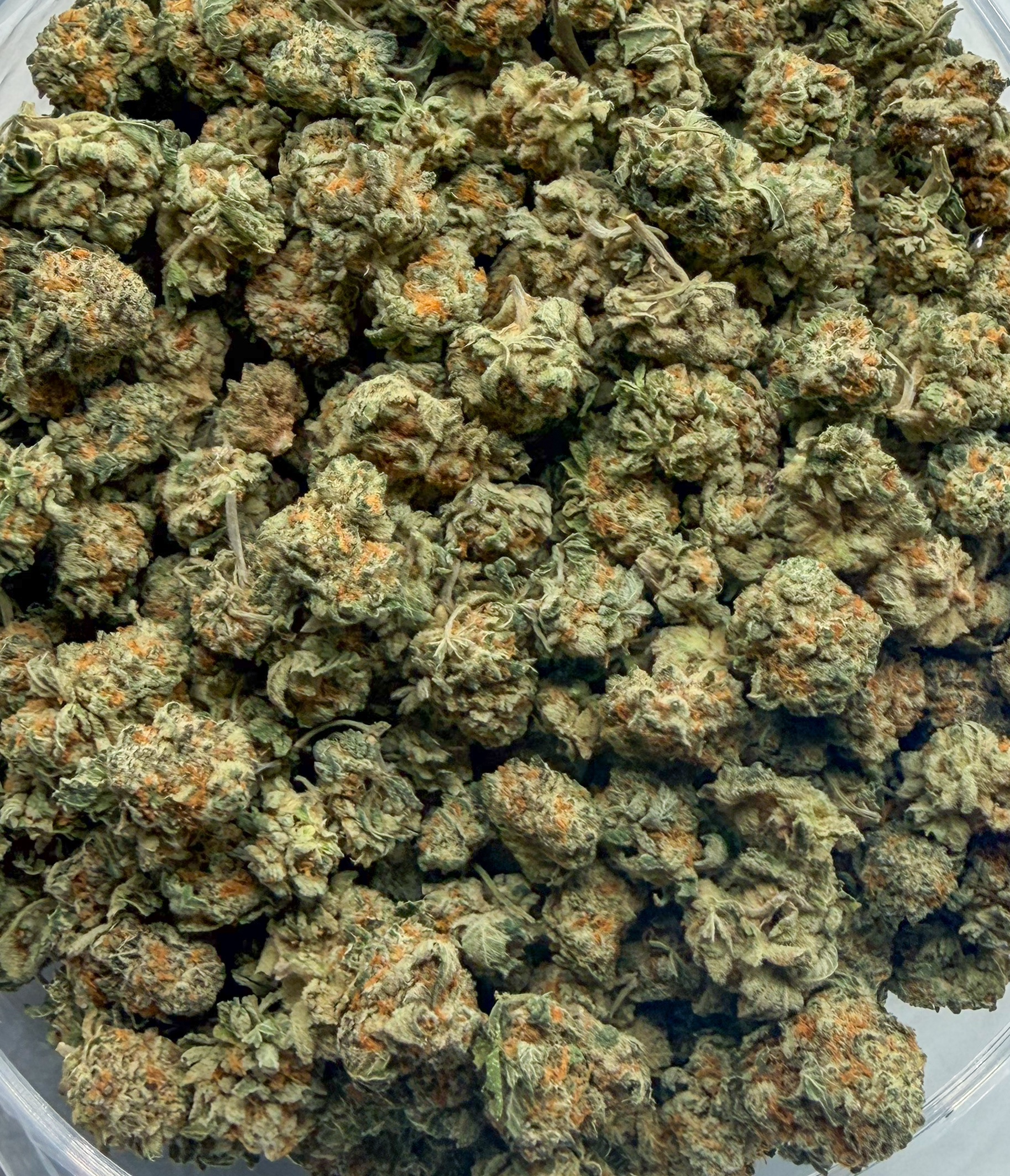 *Oz Deal* Orange Cookies (AAA)