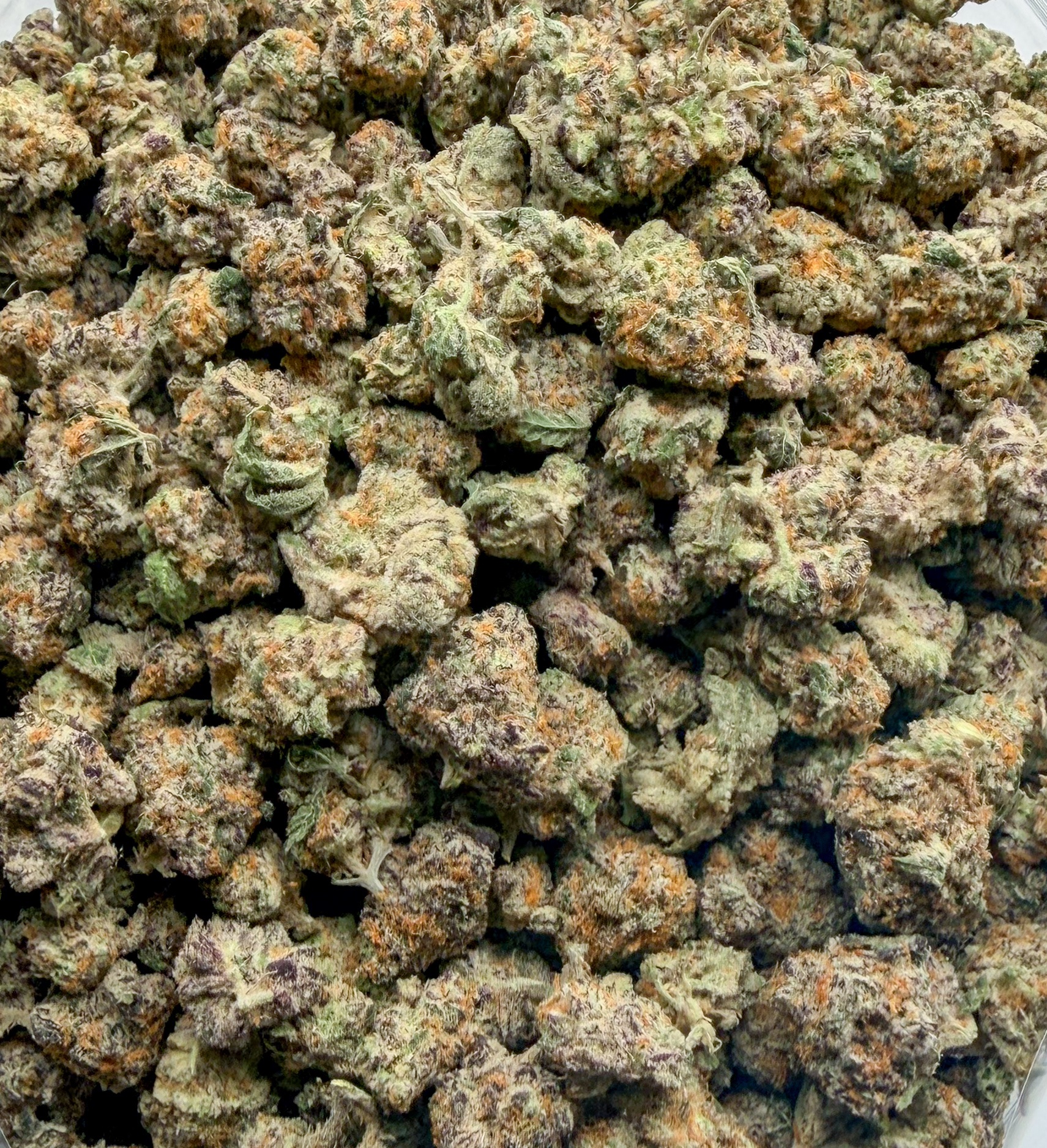 *Oz Deal* Apes In Space (AAAA)