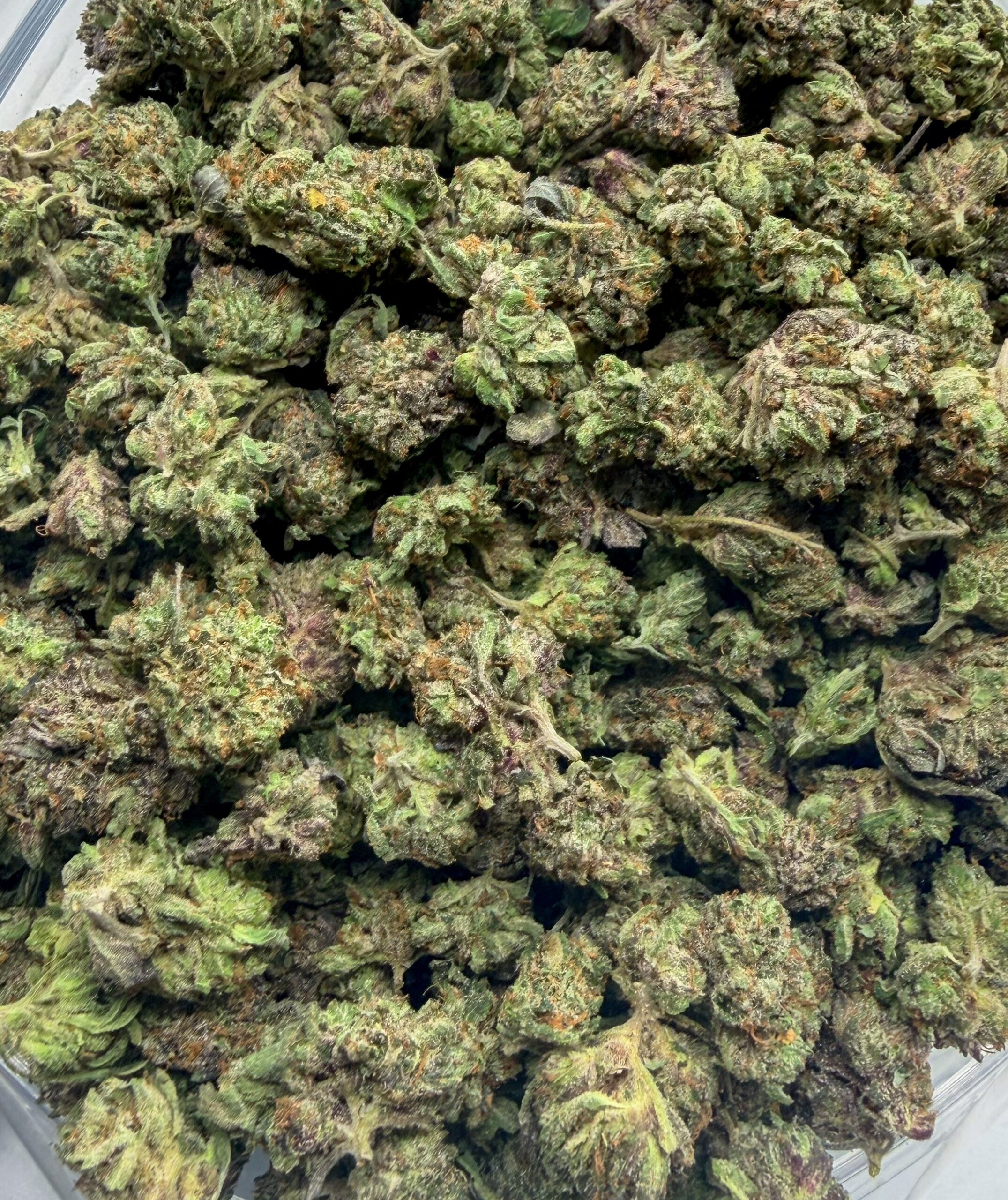 *Oz Deal* Purple Death Bubba (AAA+)