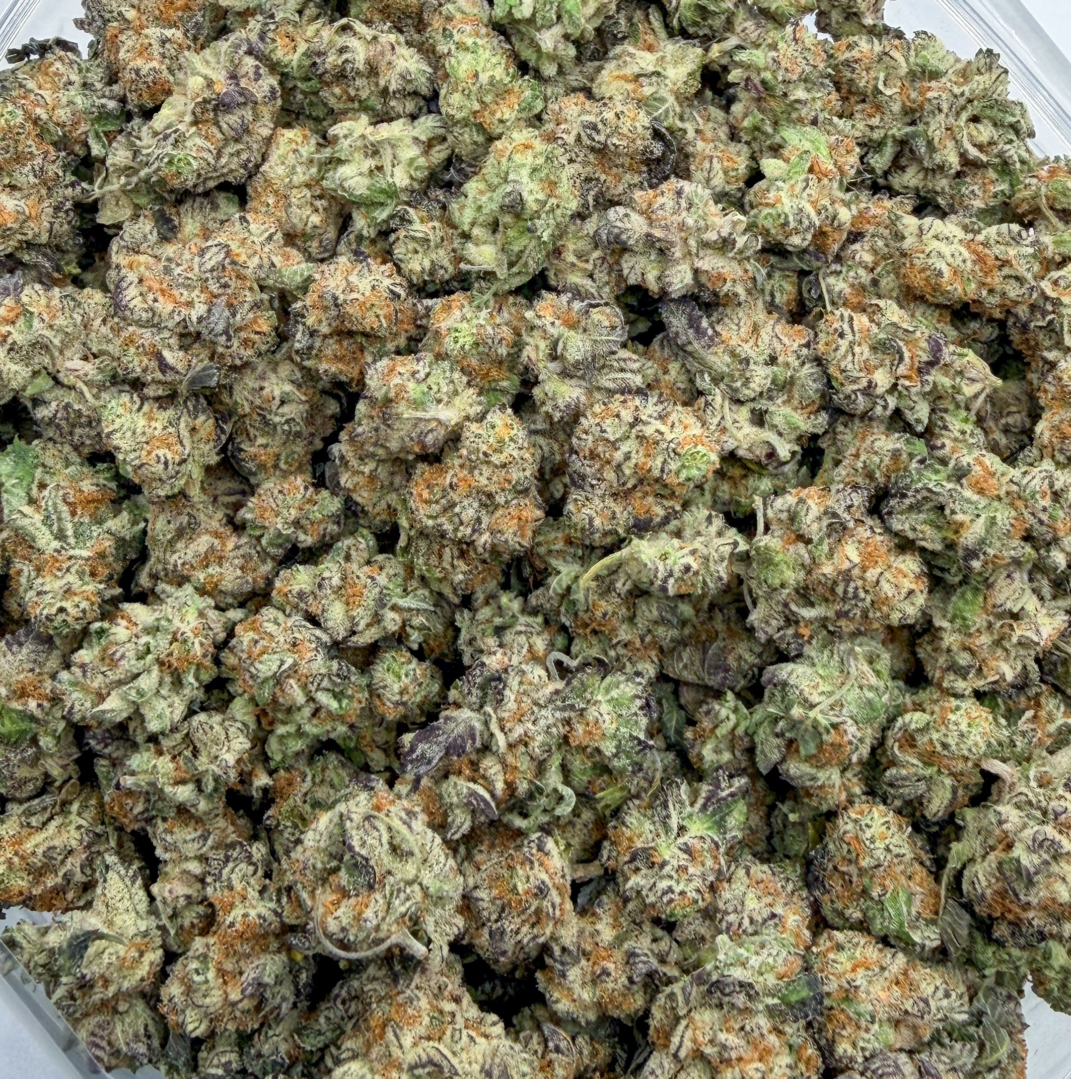 *Oz Deal* Ice Cream Runtz (AAAA)