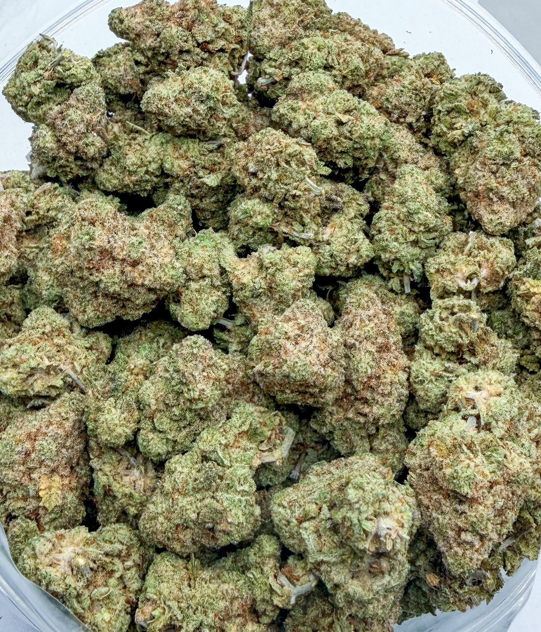 Jungle Cake (AAA+)