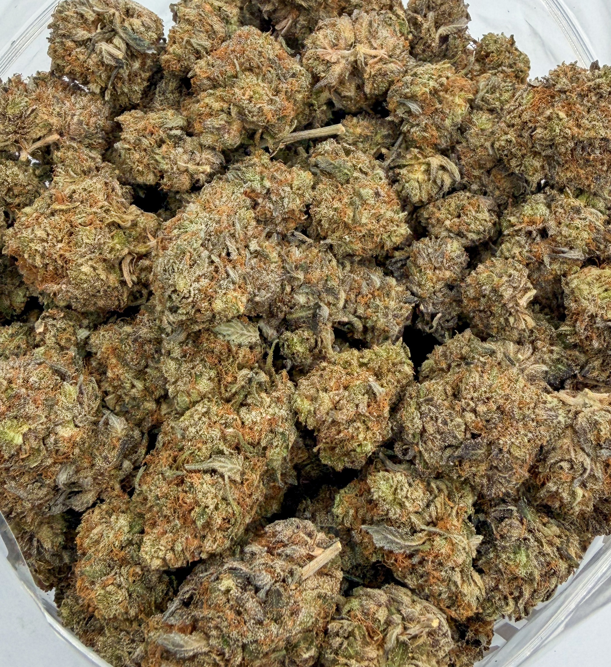 Peanut Butter Rockstar (AAA+)