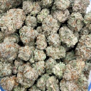 Blueberry Cookies (AAA+)