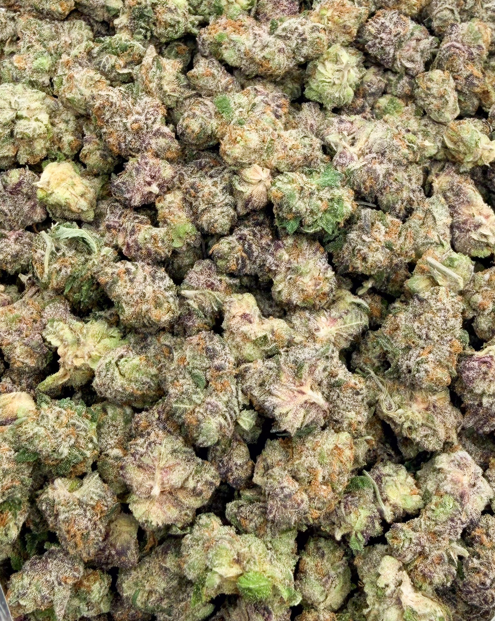 *Oz Deal* Purple Space Cookies