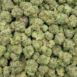 *Oz Deal* Pink Candy (AAA+)