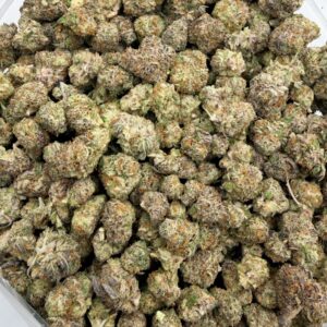 *OZ DEAL* Greasy Bubba (AAA+)