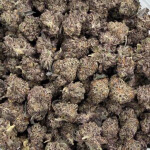 *OZ DEAL* Black Truffle (AAA+)
