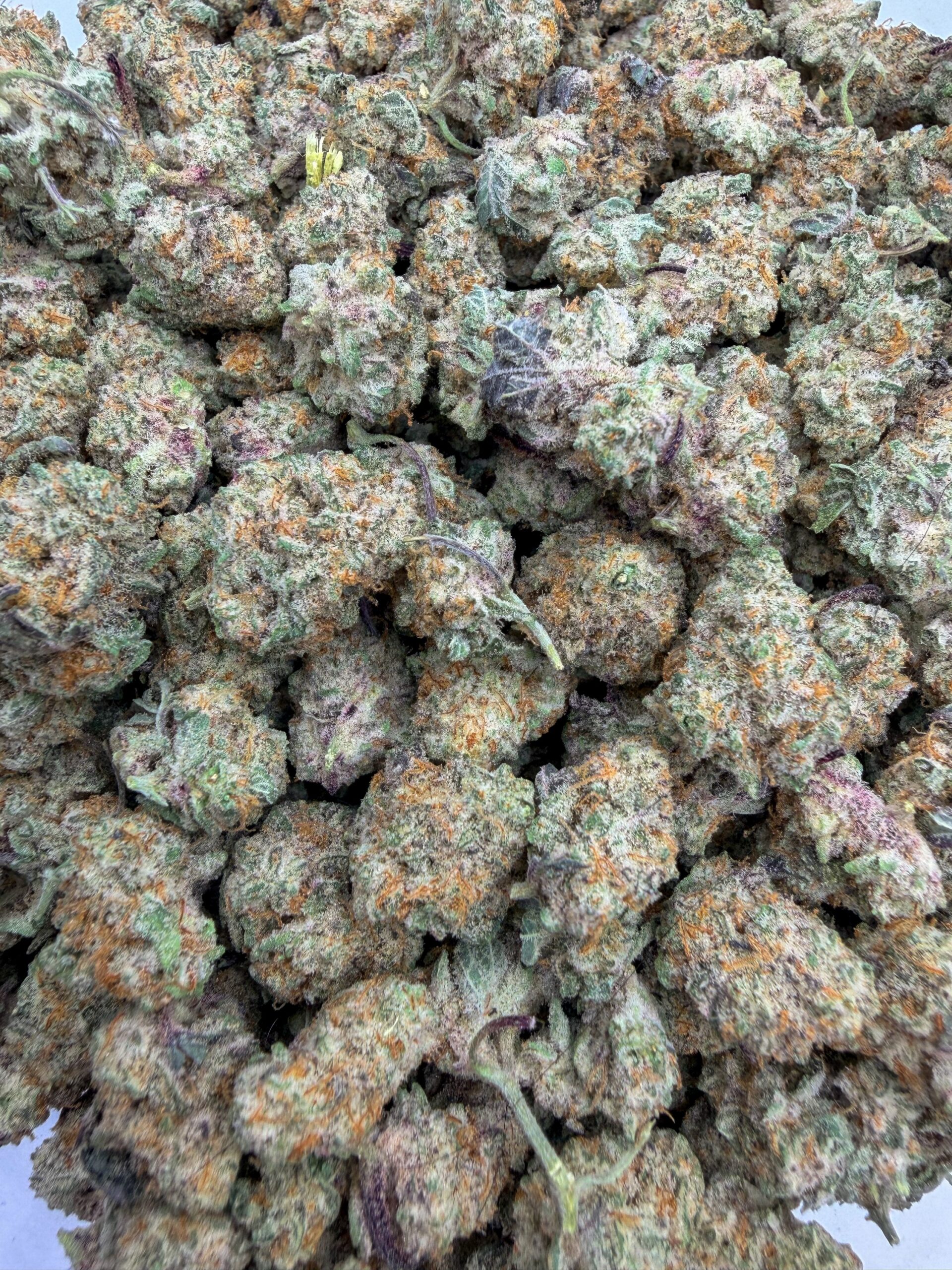 Mac 1 (AAAA+)