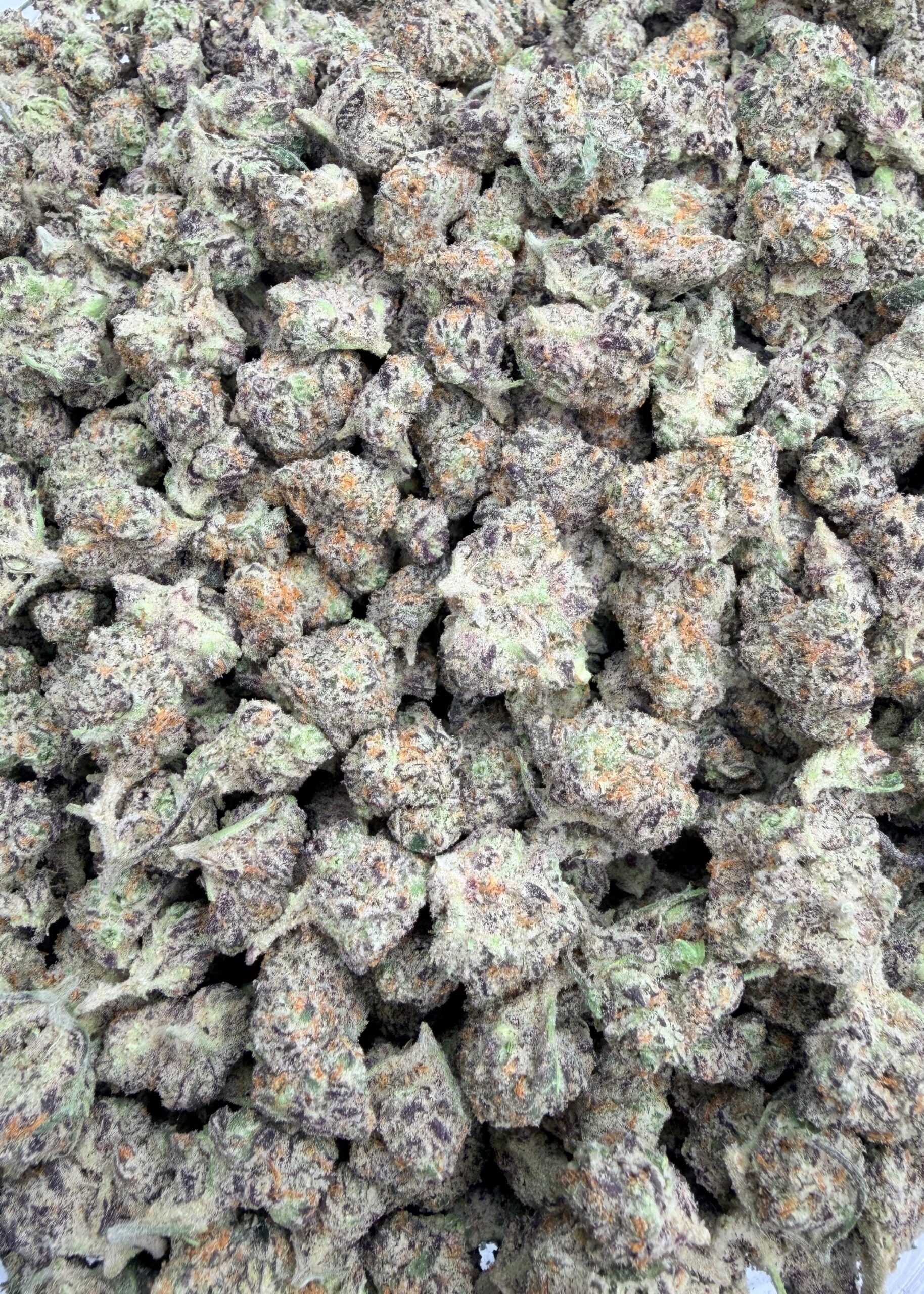 Girl Scout Cookies (AAA+)