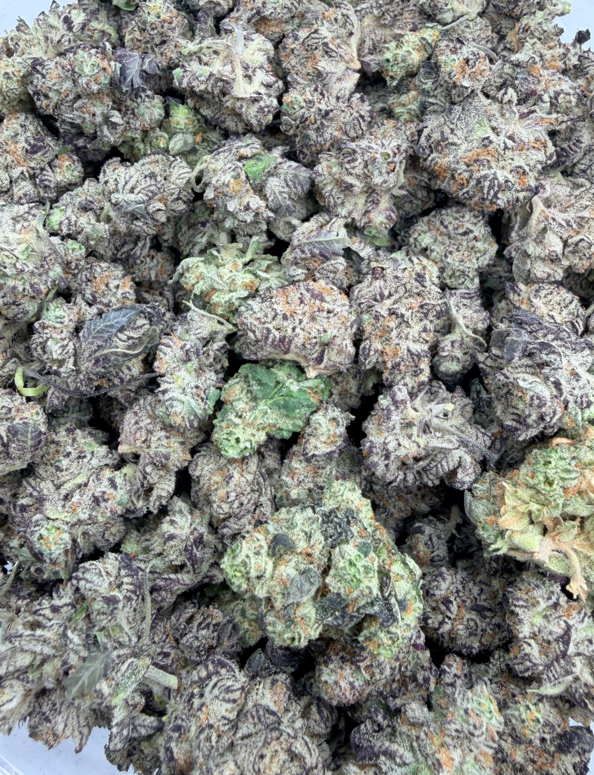 Tropicana Cookies (AAAA+)