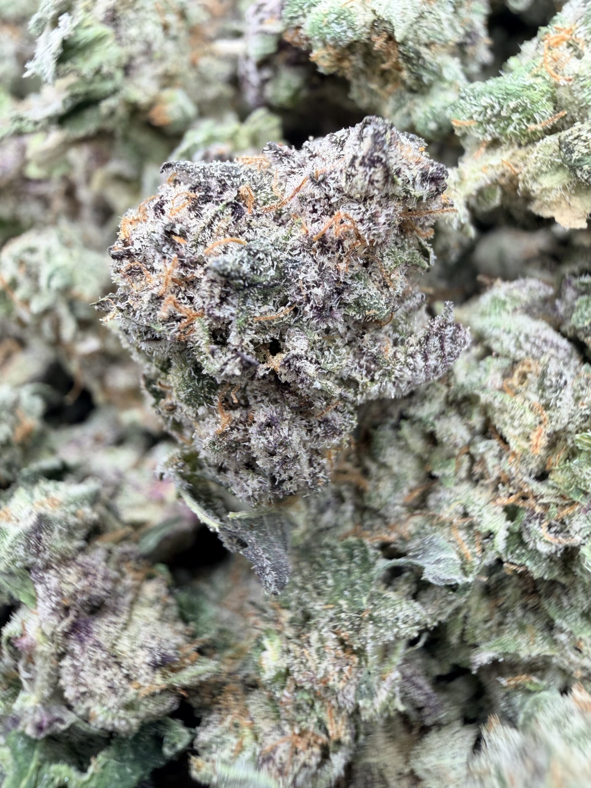 Durban Poison