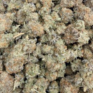 Cactus Breath