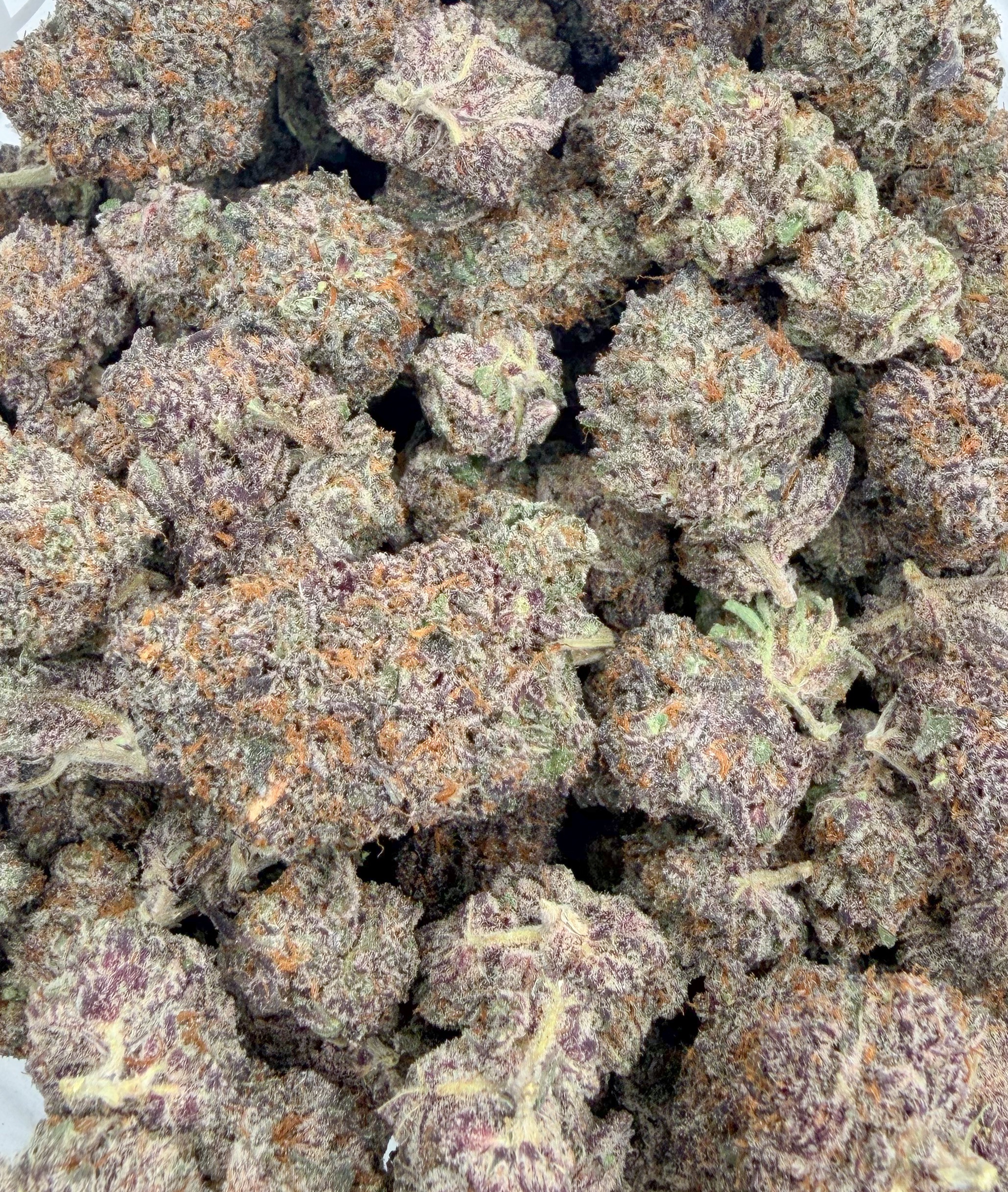Purple Space Tuna