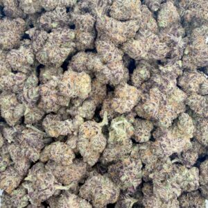 Purple Gas Mask