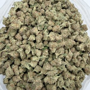 Blueberry