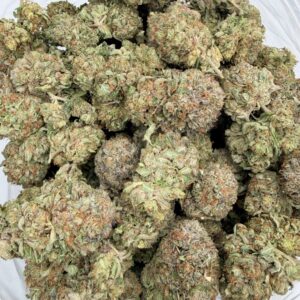 MK Ultra