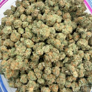 Tangie Sunrise