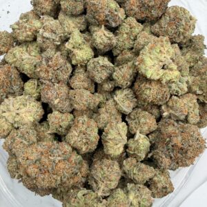 Northern Lights
