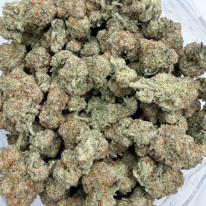 Animal Cookies