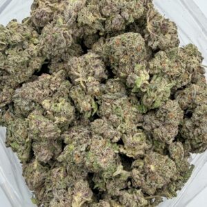 Purple Hindu Kush