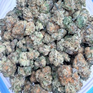 Master Kush