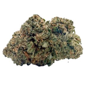 Pink Bubba