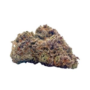Purple Space Monkey