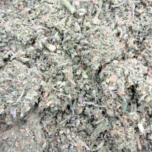 Premium Quality Shake (AAAA+)