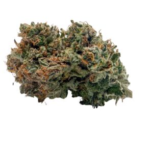 Purple Mendo