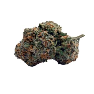 BC Black Cherry