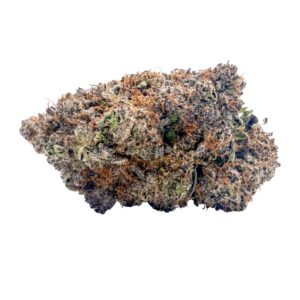 BC Black Cherry