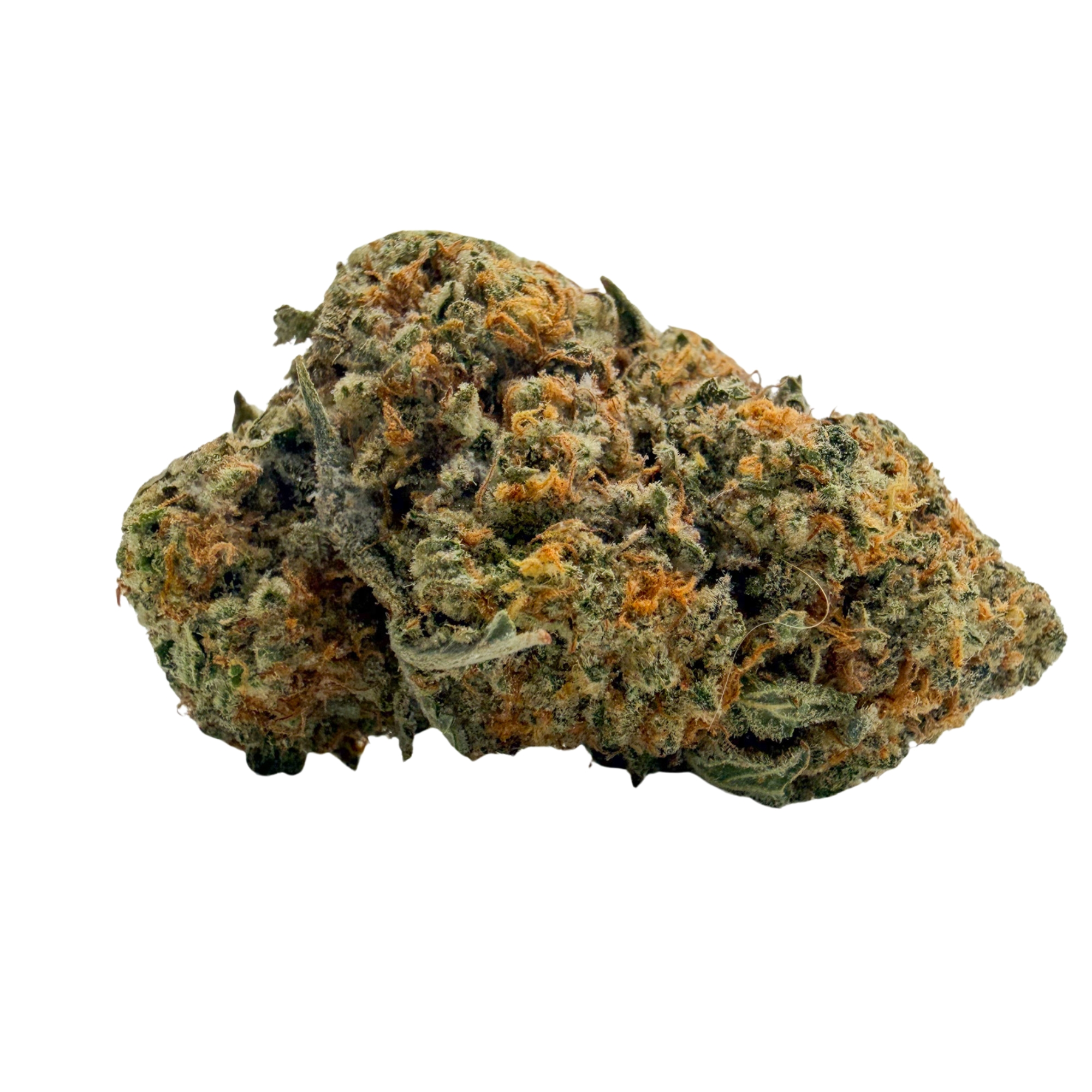 Animal Cookies