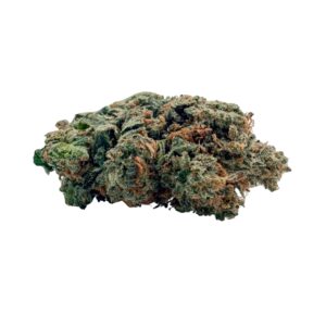 G-13