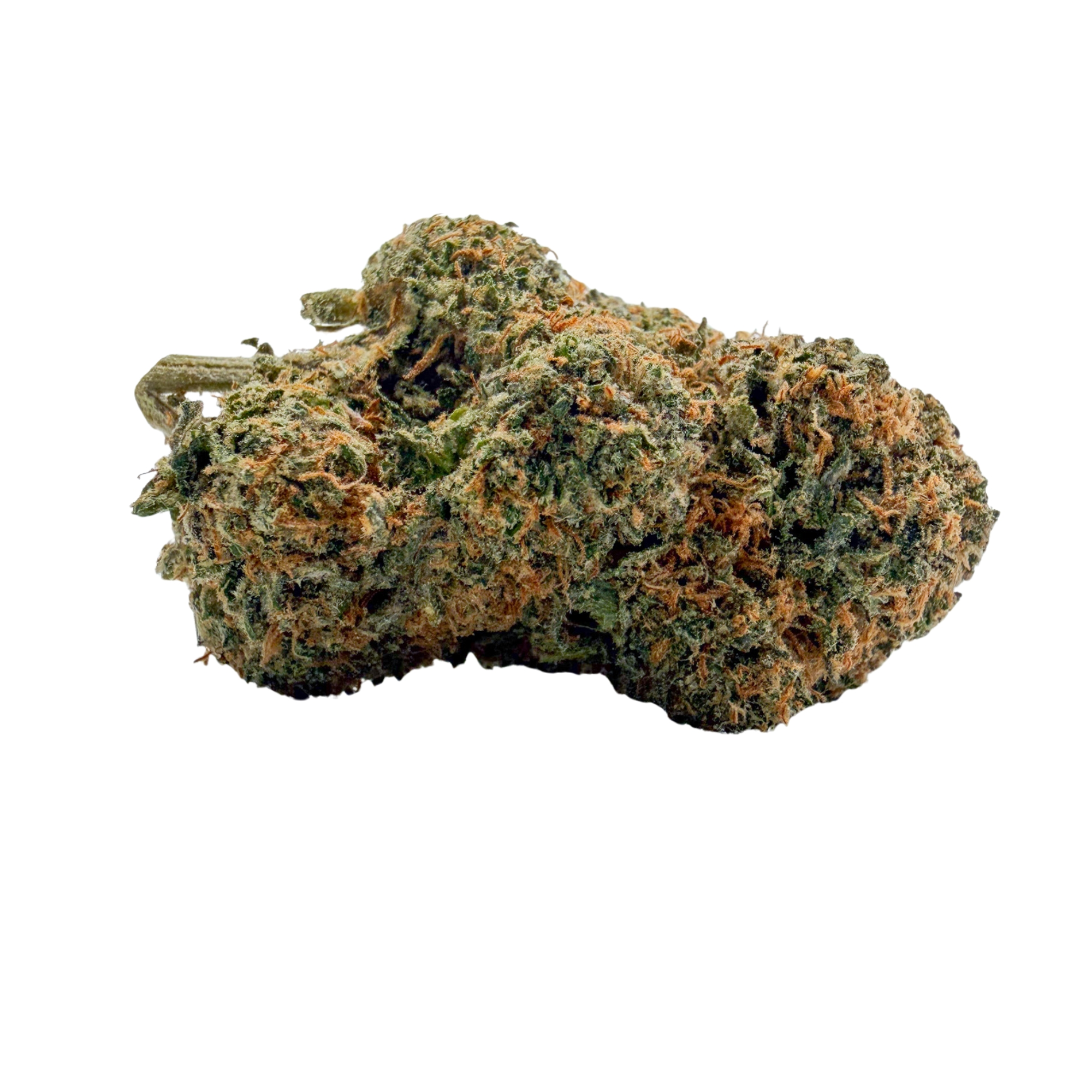 Snoop Dogg OG