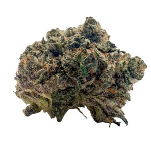 Cactus Breath