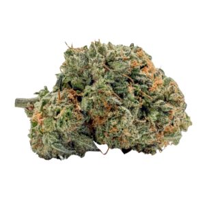 Northern Lights